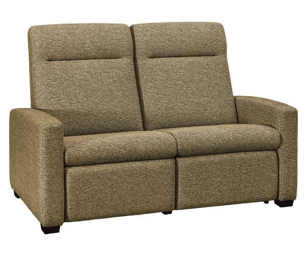 Harmony Wallhugger Loveseat Recliner